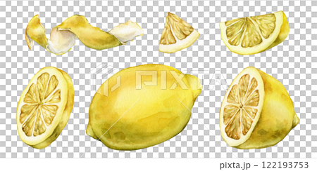 Set of slice and whole lemon, peel or zest of Lemon and isolated on white background. Hand drawn watercolor illustration of yellow tropical citrus Food on white isolated background. Drawing of citrus Set of slice and whole lemon, peel or zest of Lemon and isolated on white background. Hand drawn watercolor illustration of yellow tropical citrus Food on white isolated background. Drawing of citrus 122193753
