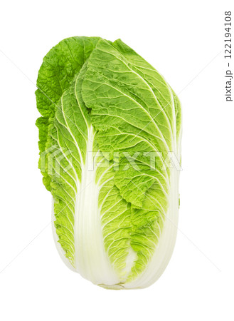白菜 122194108