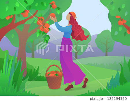 Girl farmer picking ripe persimmons 122194520