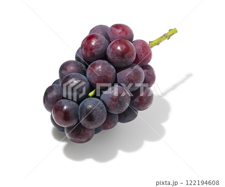 ピオーネ ピオーネ 122194608