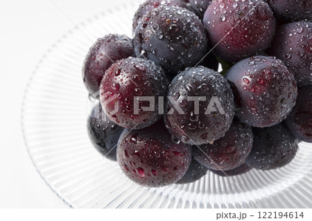 ピオーネ 122194614