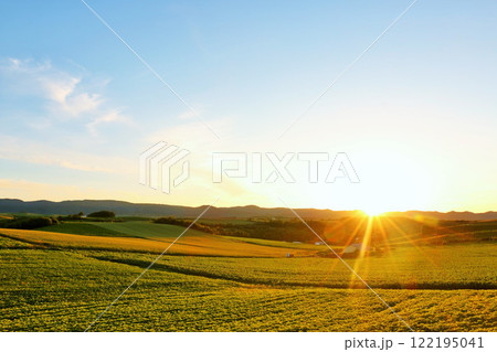 北海道　美瑛の夕暮れ 122195041