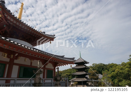 なごや七福神めぐり　八事興正寺　圓照堂と五重塔 122195105