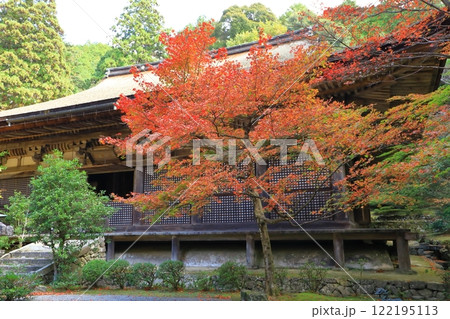湖東三山　金剛輪寺　本堂大悲閣 122195113