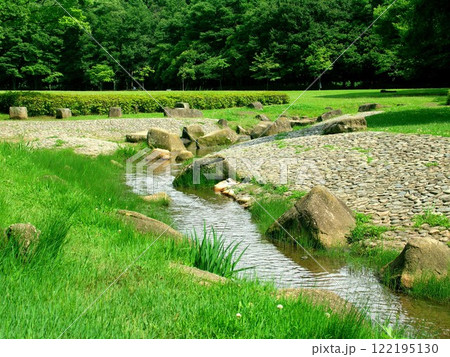 小川のある初夏の21世紀の森と広場風景 122195130