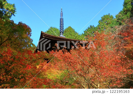 湖東三山　金剛輪寺　三重塔 122195163