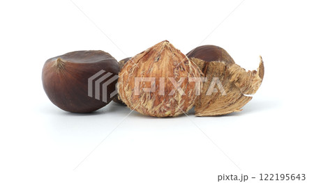 Close-Up of Fresh Chestnuts With Shells on White Background 122195643
