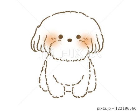 お座りをするマルチーズのイラスト 122196360