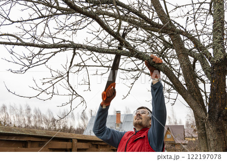 Pruning trees in an autumn garden. Close-up of hands with a saw cutting old branches. 122197078