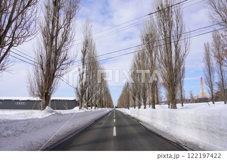 ポプラの並木・岩見沢市（冬） 122197422
