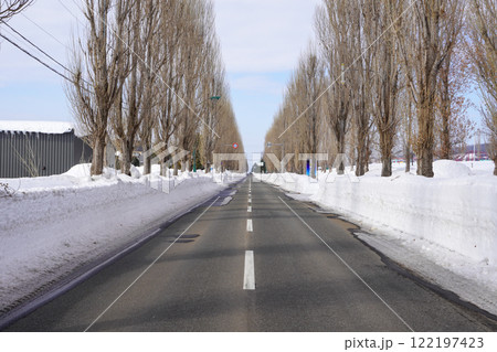 ポプラの並木・岩見沢市(冬) ポプラの並木・岩見沢市(冬) 122197423