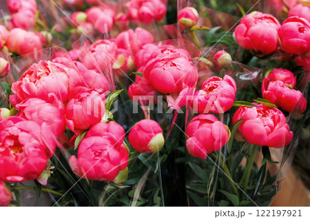 Close-up overhead view pink peony Dutch bouquets at vibrant street flower market sale. Lot multicolored blossoming bouquets background. Floral blooming wholesale retail plant store. Florist service 122197921