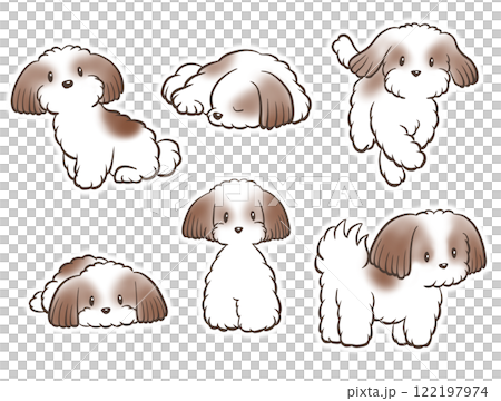 Cute Shih Tzu outline illustration set 122197974