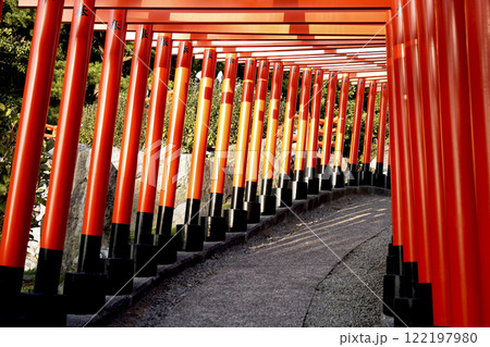 神社の境内にある千本鳥居が続く参道 神社の境内にある千本鳥居が続く参道 122197980