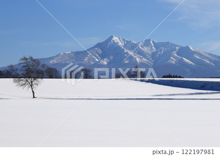 斜里岳と積雪の畑 小清水町 斜里岳と積雪の畑 小清水町 122197981