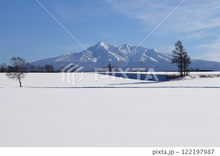 斜里岳と積雪の畑　小清水町 122197987