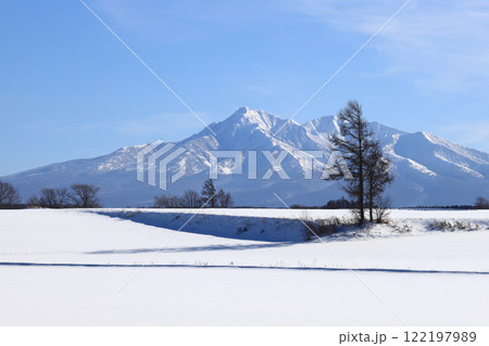 斜里岳と積雪の畑 小清水町 斜里岳と積雪の畑 小清水町 122197989