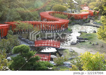 陽を浴びた龍のようにくねる千本鳥居 122197994