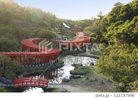 陽を浴びた龍のようにくねる千本鳥居 122197996