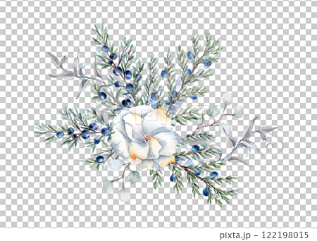 Juniper branches, berries and white camellia watercolor illustration isolated. Greenery coniferous in soft colors hand drawn. Delicate evergreen plant, pale floral botanical sketch for nature design. 122198015