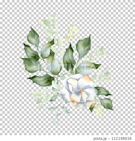 Pale green arrangement of holly leaves and white camellia watercolor illustration isolated. Foliage of rippled twigs and watercolor stains hand drawn in soft green. Greenery delicate wedding design. Pale green arrangement of holly leaves and white camellia watercolor illustration isolated. Foliage of rippled twigs and watercolor stains hand drawn in soft green. Greenery delicate wedding design. 122198016