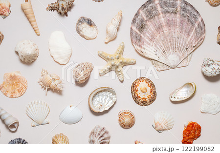 Variety collection of marine treasure. Variety collection of marine treasure. 122199082