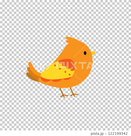 An illustration of a beautiful orange bird An illustration of a beautiful orange bird 122199342