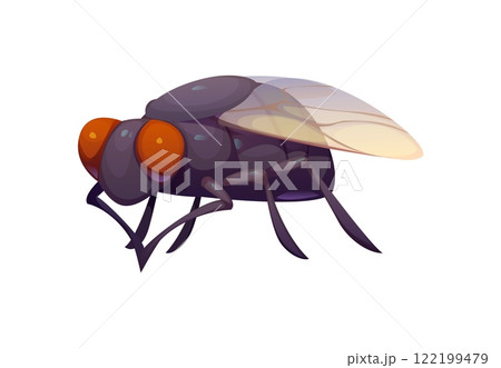 Cartoon funny fly insect character with large orange eyes, dark body and transparent wings. Isolated vector housefly pest personage, domestic parasite, winged flying bug, natural creature 122199479