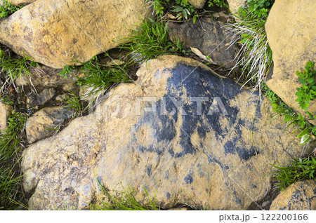 登山道の磨かれて滑る蛇紋岩 122200166
