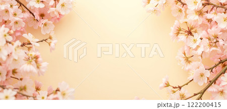 Blooming cherry blossom branches with delicate pink flowers and petals falling, springtime scene, peaceful nature, pastel background, floral theme, banner, copy space Blooming cherry blossom branches with delicate pink flowers and petals falling, springtime scene, peaceful nature, pastel background, floral theme, banner, copy space 122200415