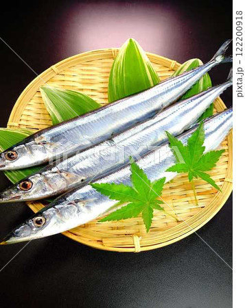 サンマ 秋刀魚 さんま サンマ 秋刀魚 さんま 122200918
