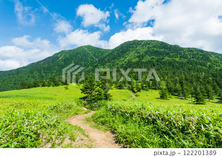夏の四阿山・根子岳登山（根子岳～四阿山） 122201389