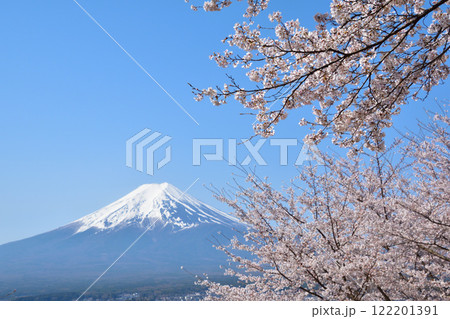 春　桜　富士山　 122201391