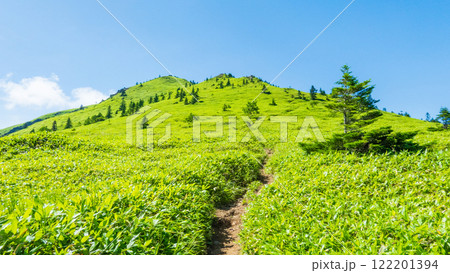 夏の四阿山・根子岳登山(四阿山~根子岳) 夏の四阿山・根子岳登山(四阿山~根子岳) 122201394