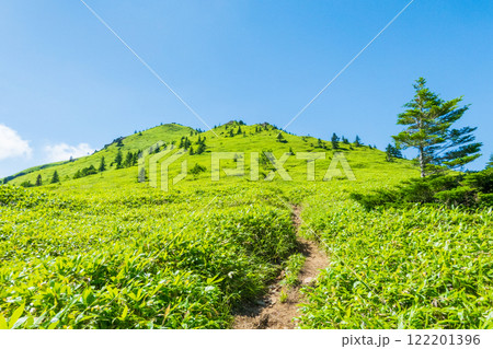 夏の四阿山・根子岳登山(四阿山~根子岳) 夏の四阿山・根子岳登山(四阿山~根子岳) 122201396
