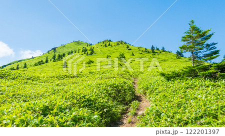 夏の四阿山・根子岳登山(四阿山~根子岳) 夏の四阿山・根子岳登山(四阿山~根子岳) 122201397