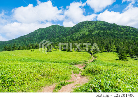 夏の四阿山・根子岳登山（根子岳～四阿山） 122201400