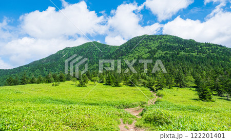 夏の四阿山・根子岳登山(根子岳~四阿山) 夏の四阿山・根子岳登山(根子岳~四阿山) 122201401
