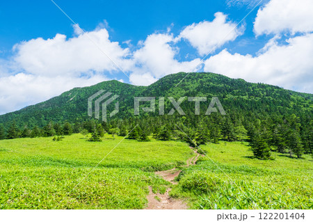 夏の四阿山・根子岳登山（根子岳～四阿山） 122201404