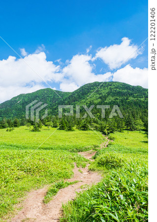 夏の四阿山・根子岳登山（根子岳～四阿山） 122201406