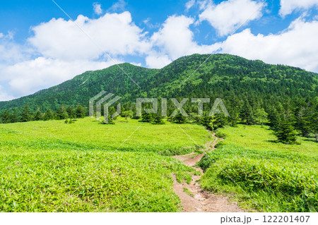 夏の四阿山・根子岳登山(根子岳~四阿山) 夏の四阿山・根子岳登山(根子岳~四阿山) 122201407