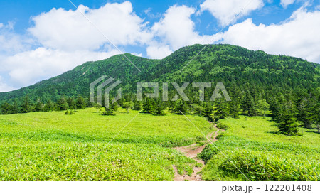 夏の四阿山・根子岳登山（根子岳～四阿山） 122201408