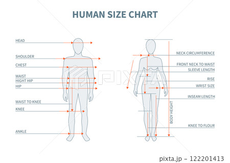 An Man and Woman Adult Body Size Chart. Vector illustration of People Silhouette Standing in a Full Length 122201413