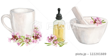 White mortar for chopping herbs and thyme flowers, ceramic mug, aromatic oil. Watercolor illustration. Preparation of herbal tea, tonic. The concept of herbal medicine, laboratory or label design. 122201889