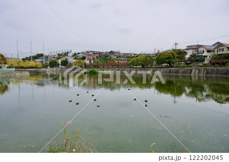 秋の新池の風景(西宮市高座町) 秋の新池の風景(西宮市高座町) 122202045