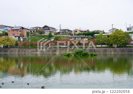 秋の新池の風景(西宮市高座町) 秋の新池の風景(西宮市高座町) 122202058