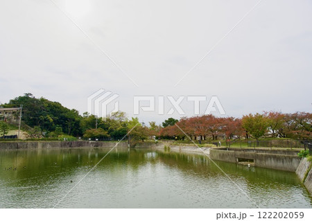 秋の新池の風景(西宮市高座町) 秋の新池の風景(西宮市高座町) 122202059