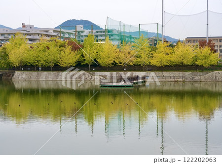 秋の新池の風景(西宮市高座町) 秋の新池の風景(西宮市高座町) 122202063