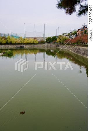 秋の新池の風景(西宮市高座町) 秋の新池の風景(西宮市高座町) 122202064