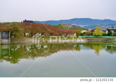 秋の新池の風景(西宮市高座町) 秋の新池の風景(西宮市高座町) 122202138